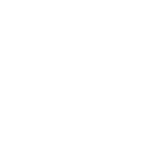 Logo Diamond Shine w kolorze białym