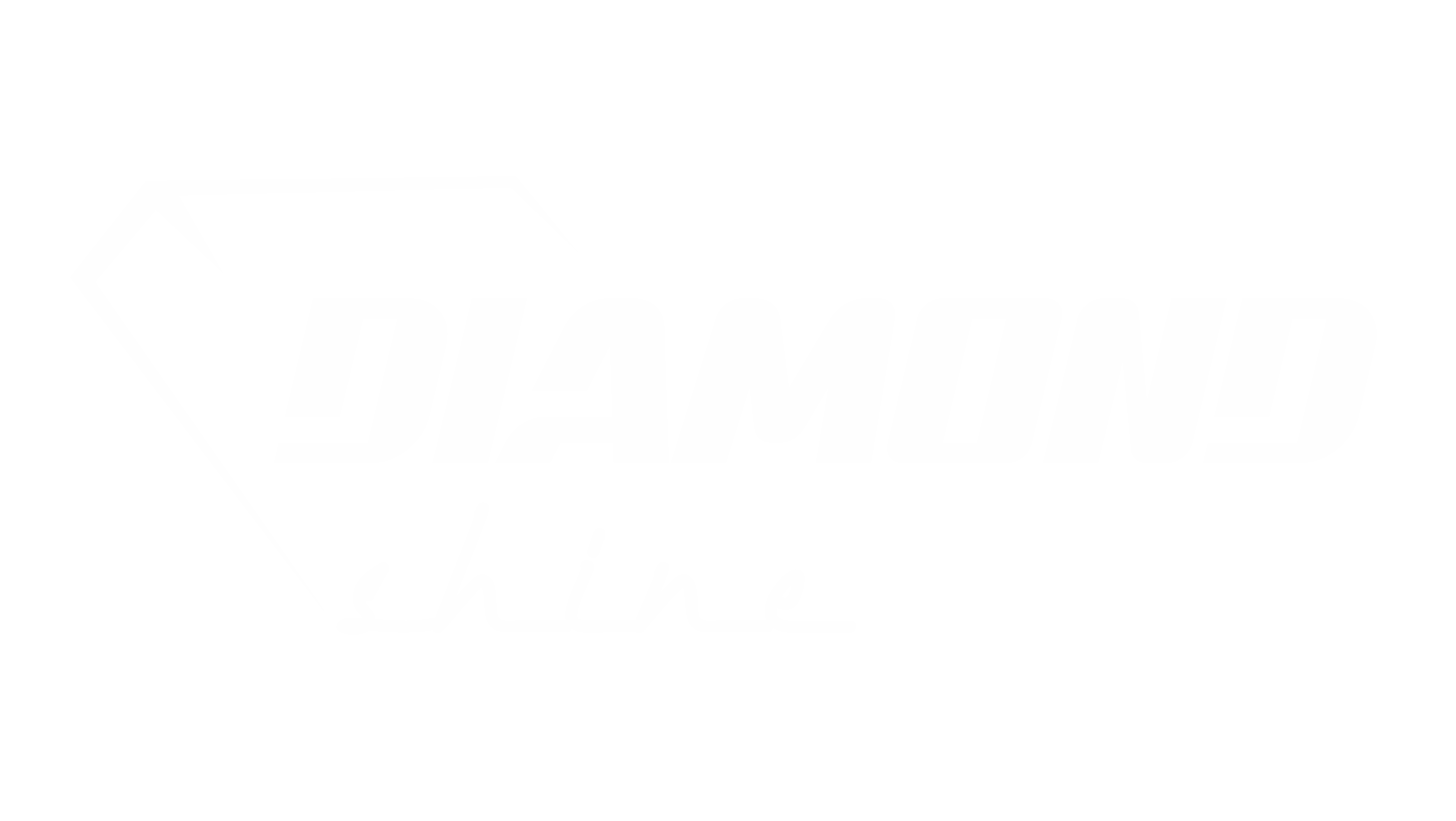 logo ds białe