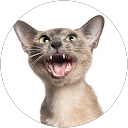Zdjęcie profilowe użytkownika nEXUUU